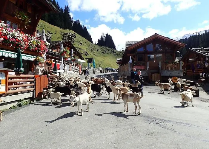 Appartement Portes Du Soleil A Le Biot Avec Menage Et Wifi Inclus