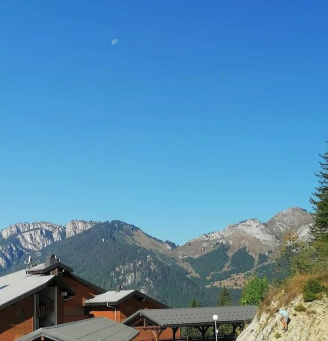Portes Du Soleil A Avec Menage Et Wifi Inclus