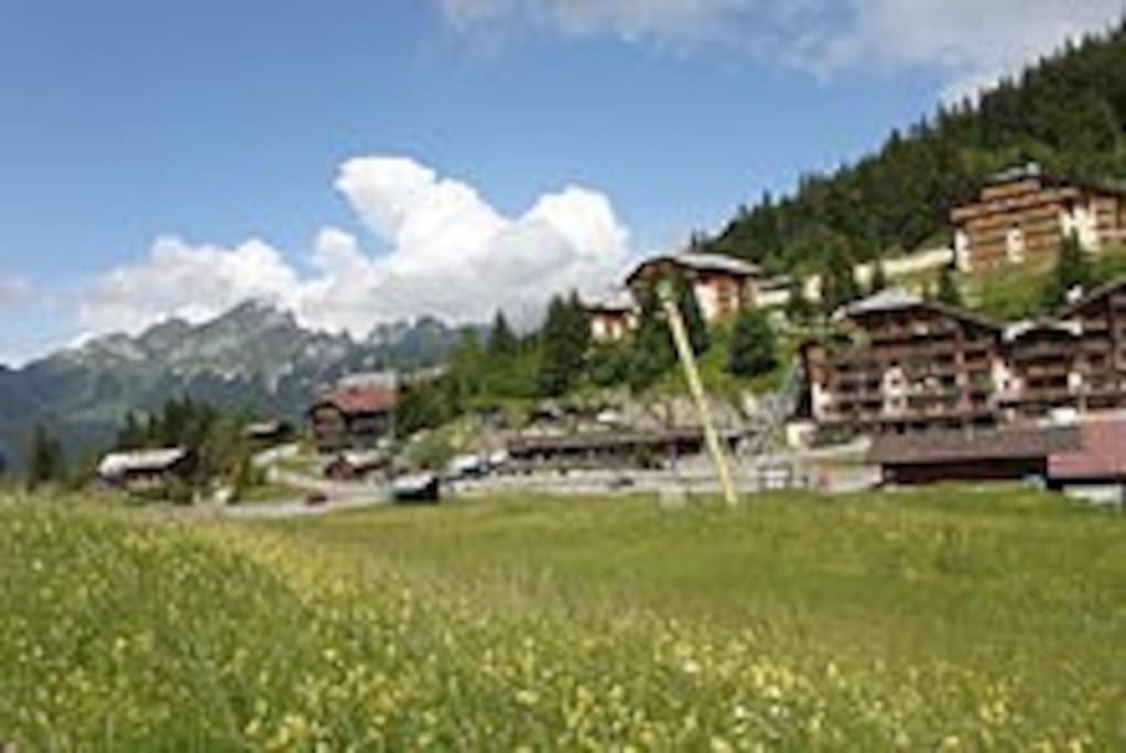 Portes Du Soleil A Avec Menage Et Wifi Inclus *